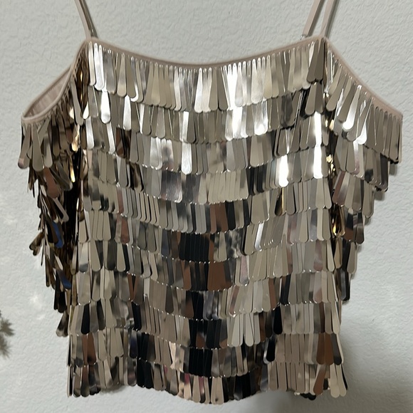 NWT Antonio Melani
Nessa Coordinating Pailette Sequin Blouse - Picture 6 of 9